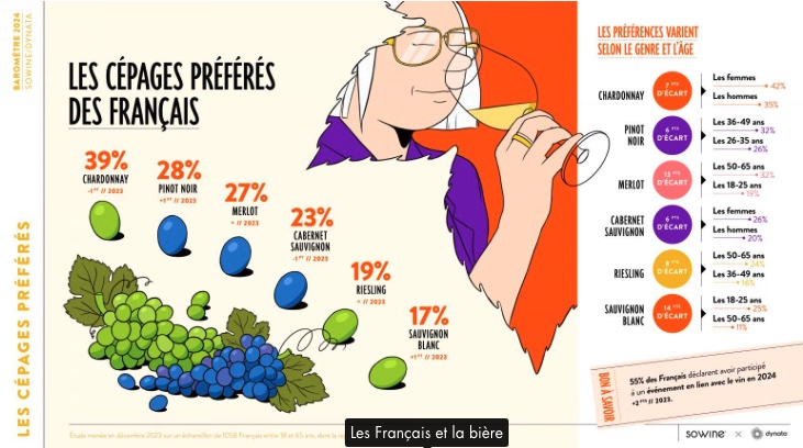 Barometre sowine 2024 sur les tendances de consommation de boissons alcoolisées vins bières Cépages vignes