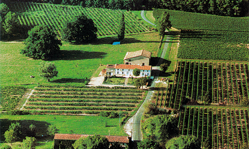 Visit-and-tasting-at-Château-Morange