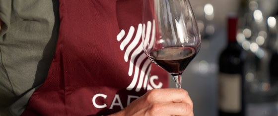 Appellation Cadillac Cotes de Bordeaux Vins wines