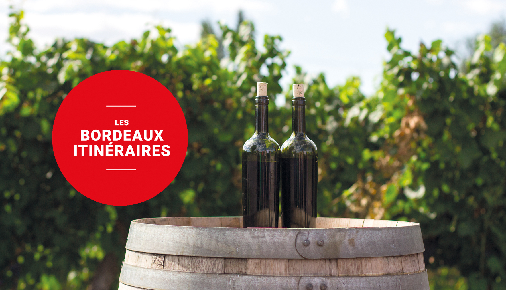 visite vignoble Cotes De Bordeaux