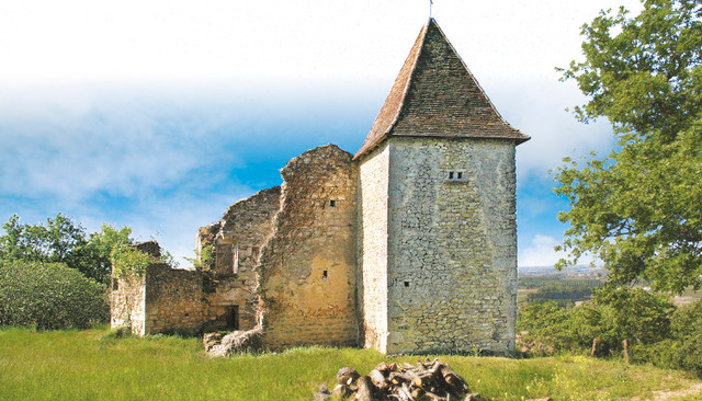 château oenotourisme bordeaux 